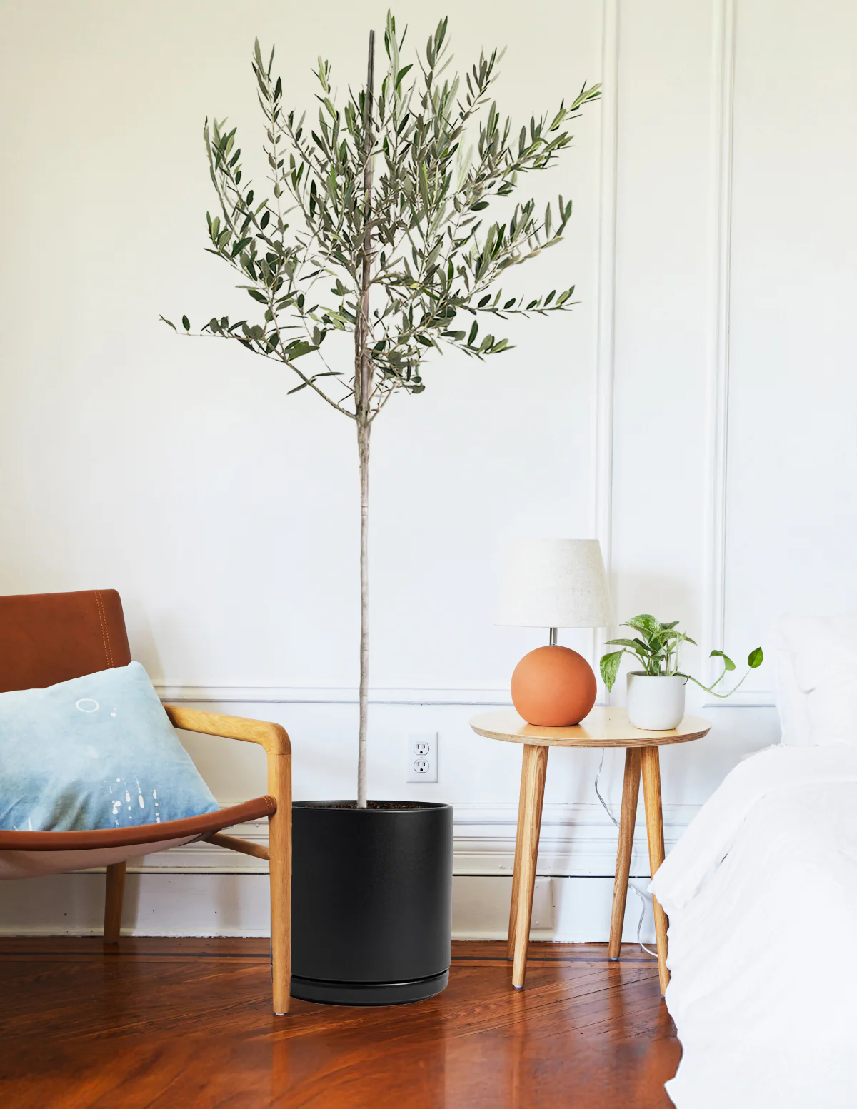 Bring Your Home To Life