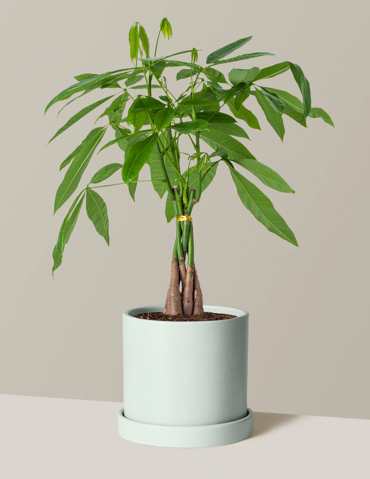 Product image 83