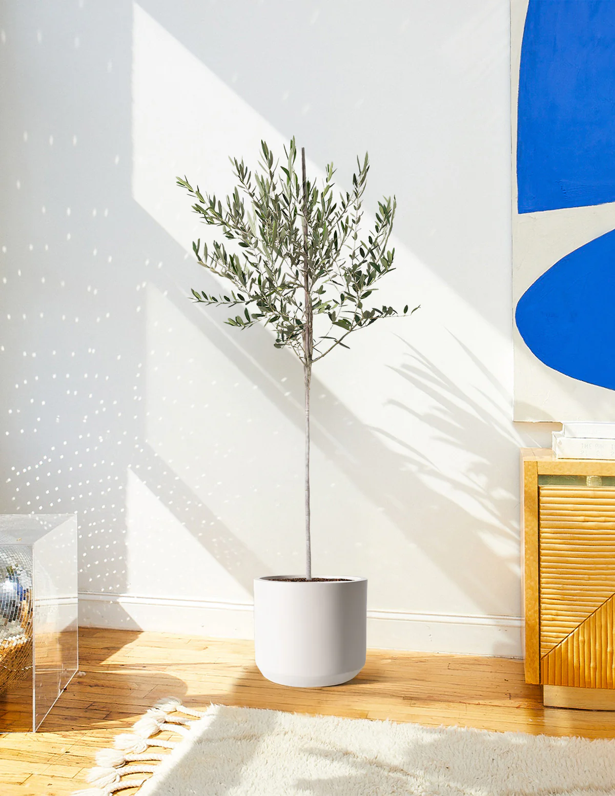 Product image 83