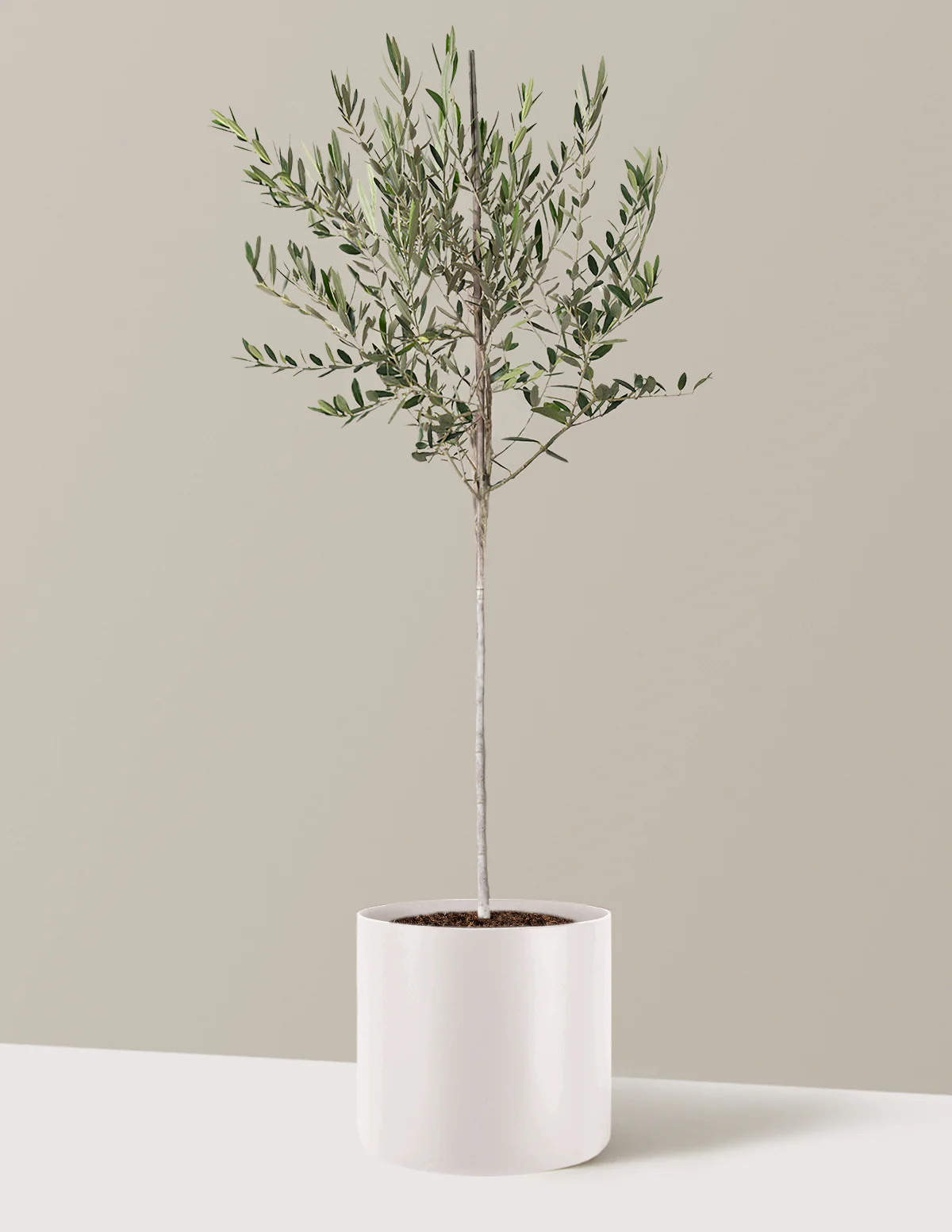 Product image 91