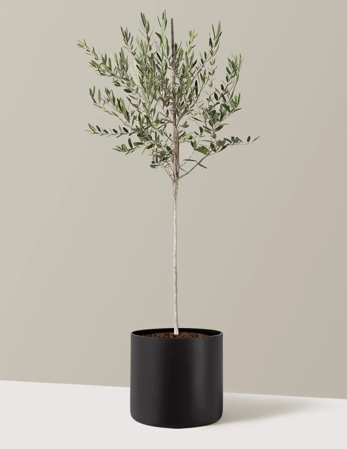 Product image 92