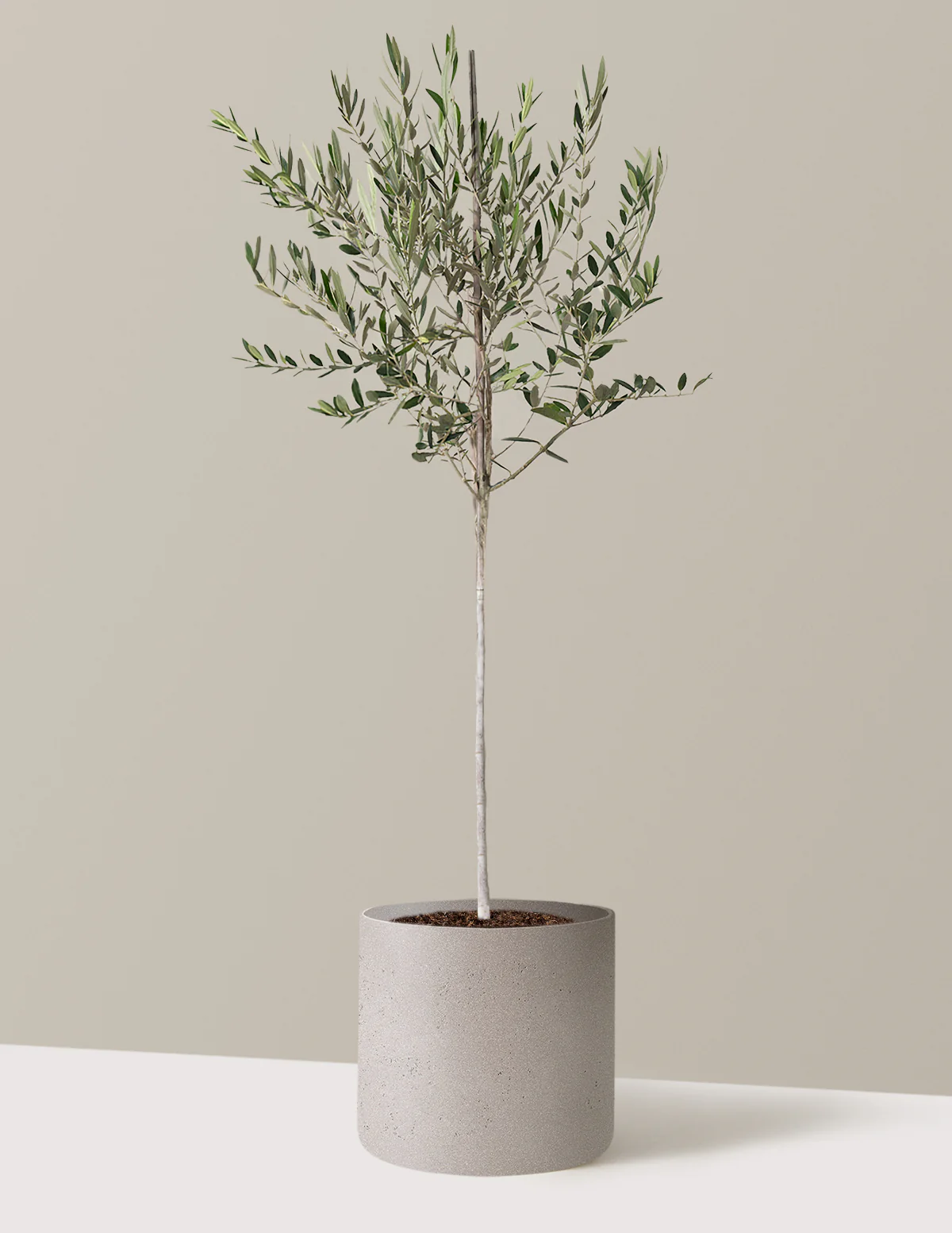 Product image 93