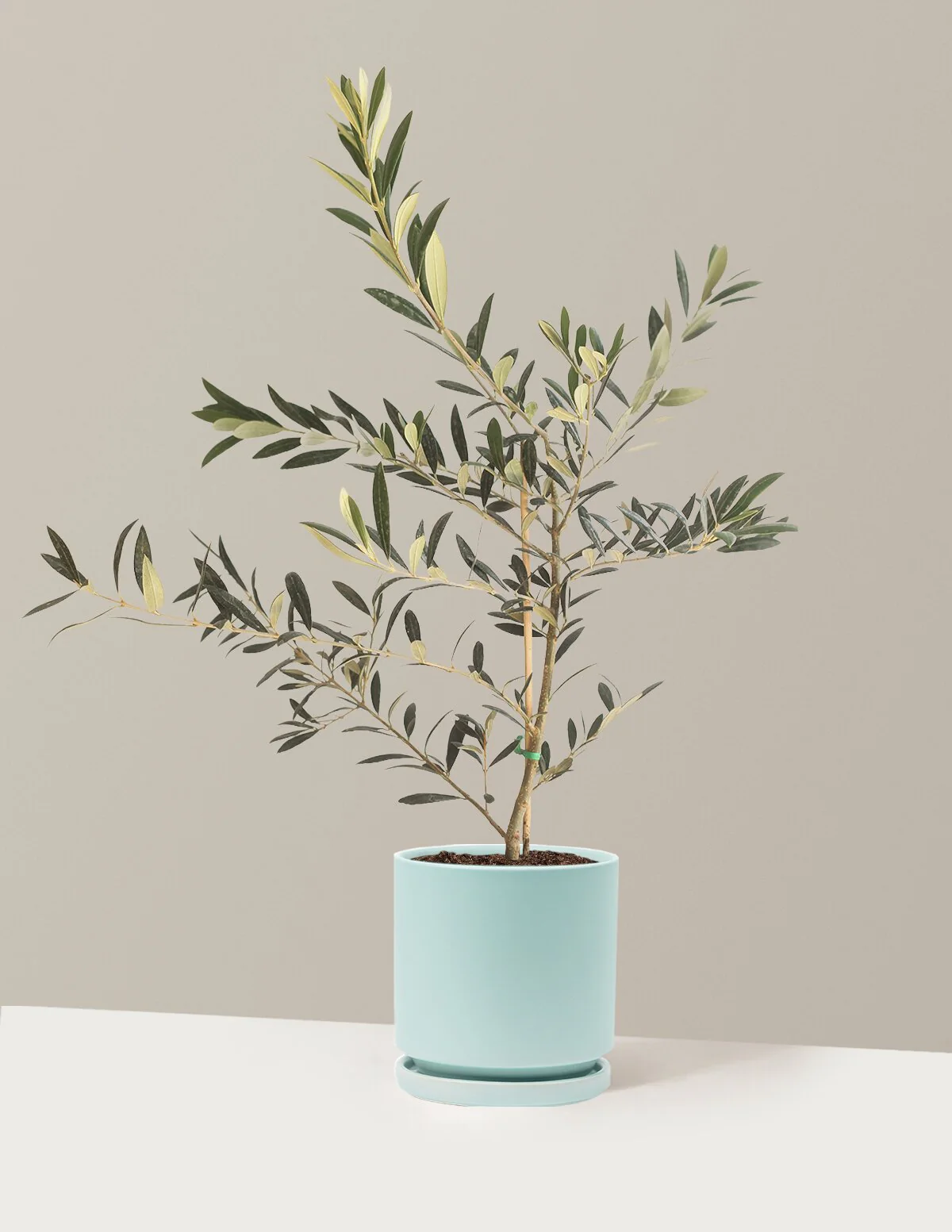 Product image 94