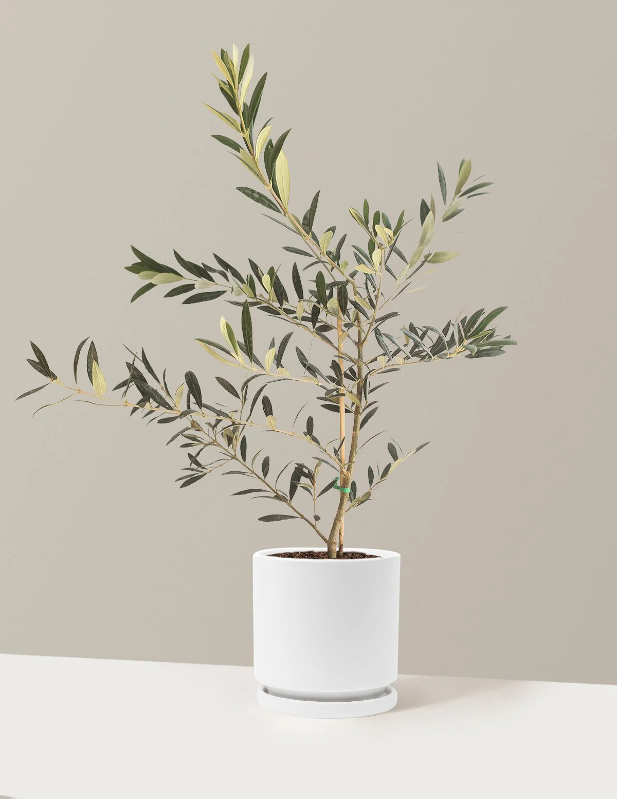Product image 96
