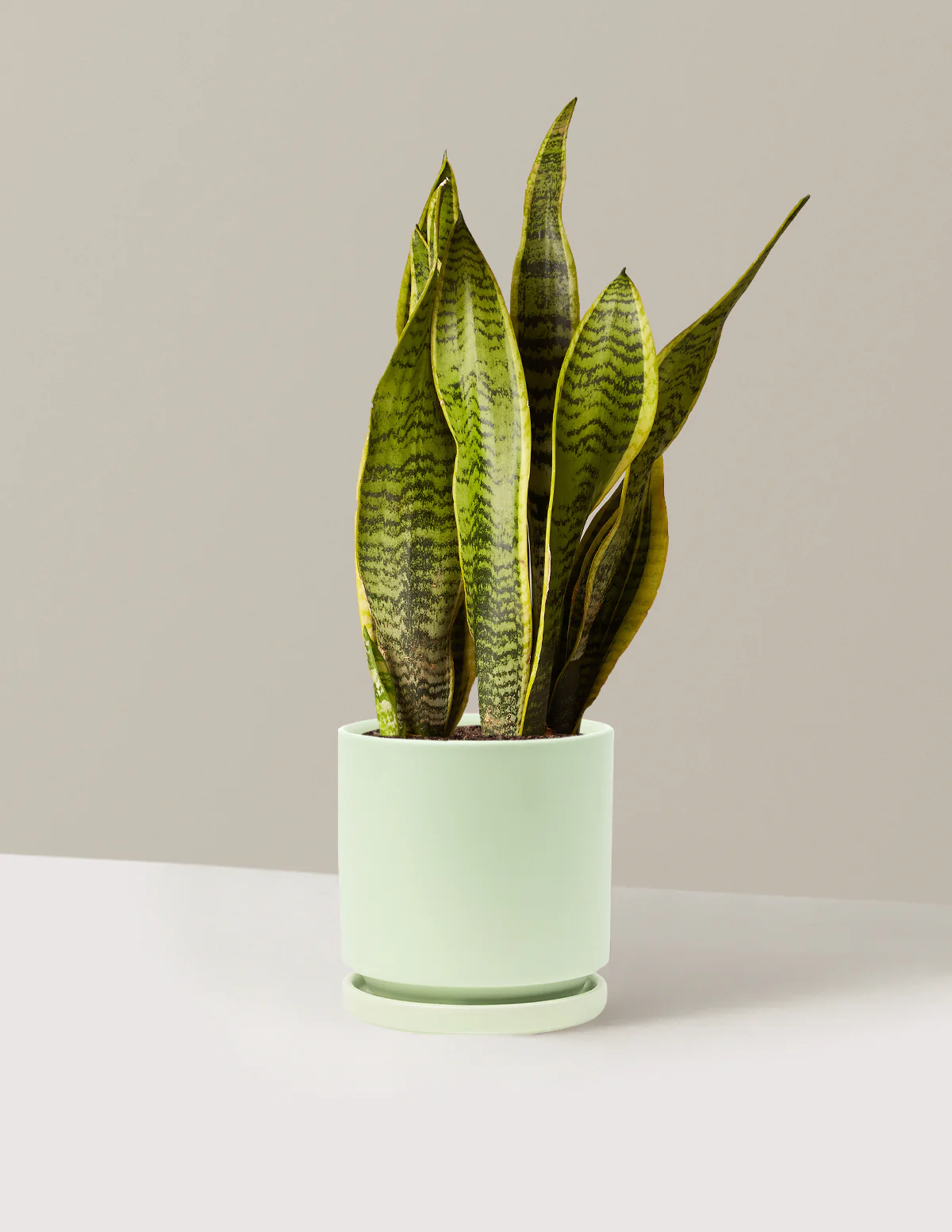 Product image 83