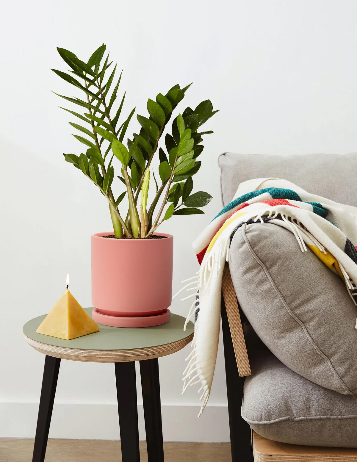 Product image 80